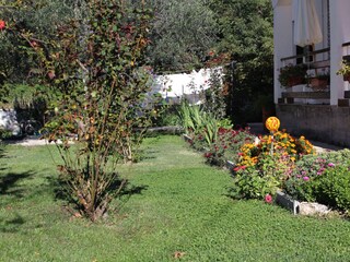 Apartment Privlaka  5