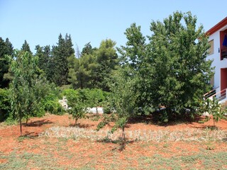 Apartment Ugljan (Ort)  6