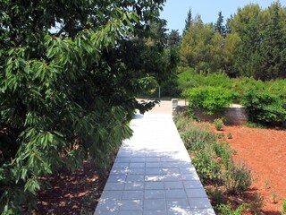 Apartment Ugljan (Ort)  7