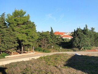 Apartment Ugljan (Ort)  28