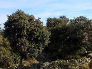 Apartment Razanj  16