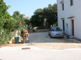 Apartment Mandre  10