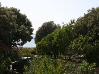 Apartment Mandre  18