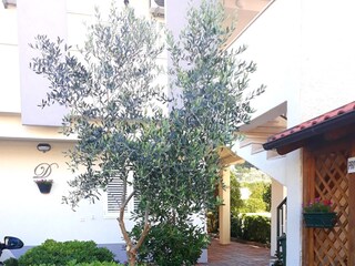 Apartment Baška Voda  3