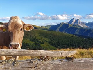 Lüsner Alm im Sommer