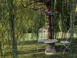 Holiday house Roč  14