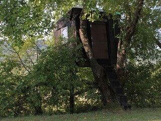 Holiday house Roč  15