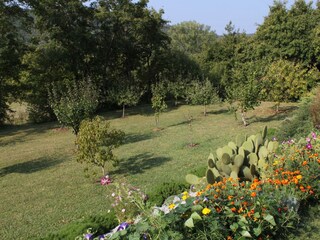 Holiday house Roč  16