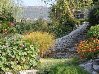 Holiday house Roč  18