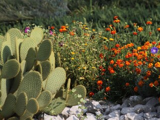 Holiday house Roč  20