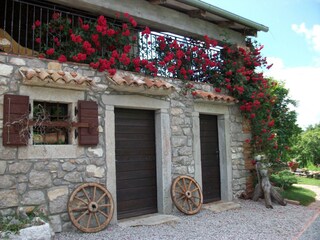 Holiday house Roč  22