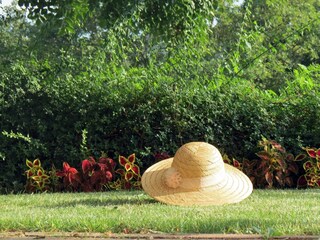 Holiday house Roč  23