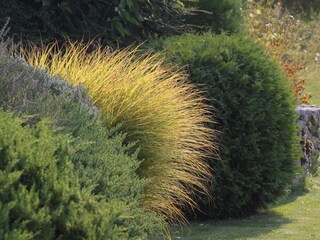 Holiday house Roč  24