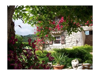 Holiday house Roč  25