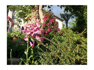 Holiday house Roč  26