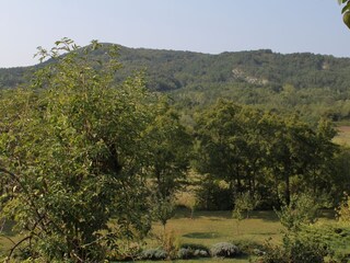 Holiday house Roč  61