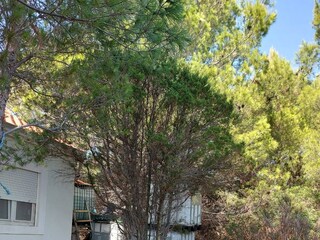 Holiday house Žman  10