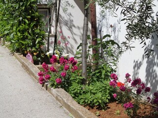 Apartment Pješčana Uvala  7