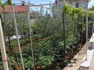 Apartment Pješčana Uvala  9