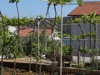 Apartment Pješčana Uvala  23