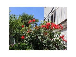 Apartment Ičići  10