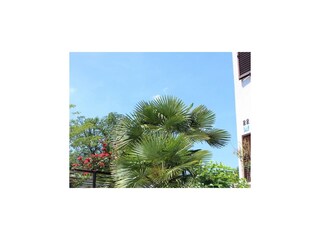 Apartment Ičići  18