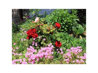 Apartment Ičići  20