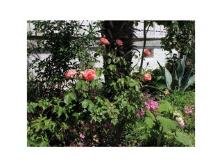 Apartment Ičići  21