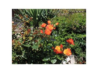 Apartment Ičići  22