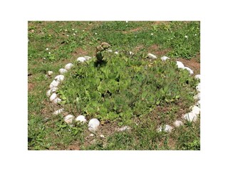 Apartment Ičići  24