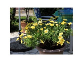 Apartment Ičići  25