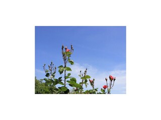 Apartment Ičići  26