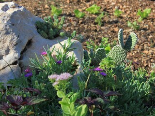 Apartment Okrug Gornji  6