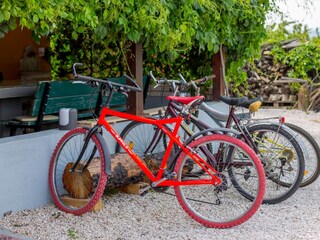 Ferienhaus Zažablje  19