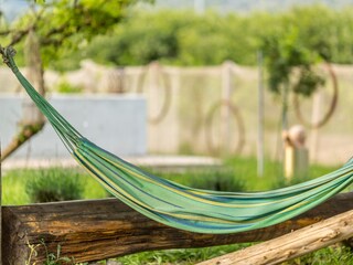 Ferienhaus Zažablje  20