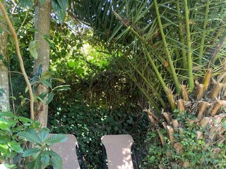 Holiday house Ston  8