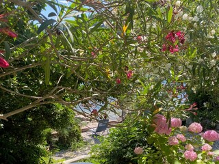 Holiday house Ston  11