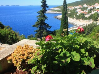 Apartment Zavalatica  28