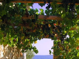 Ferienhaus Drvenik Veli  16