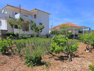 Apartment Vinisce  8