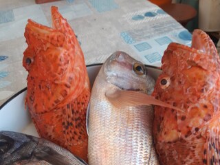 Apartment Vinisce  11