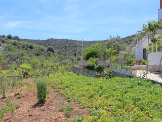 Apartment Vinisce  14