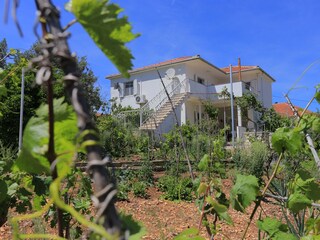 Apartment Vinisce  15