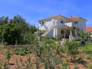 Apartment Vinisce  4