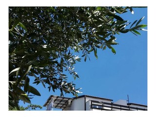 Apartment Novi Vinodolski  2