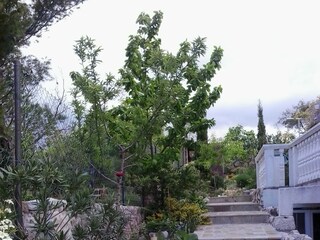 Apartment Novi Vinodolski  8