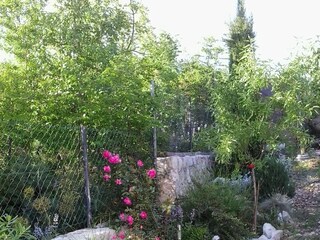 Apartment Novi Vinodolski  9