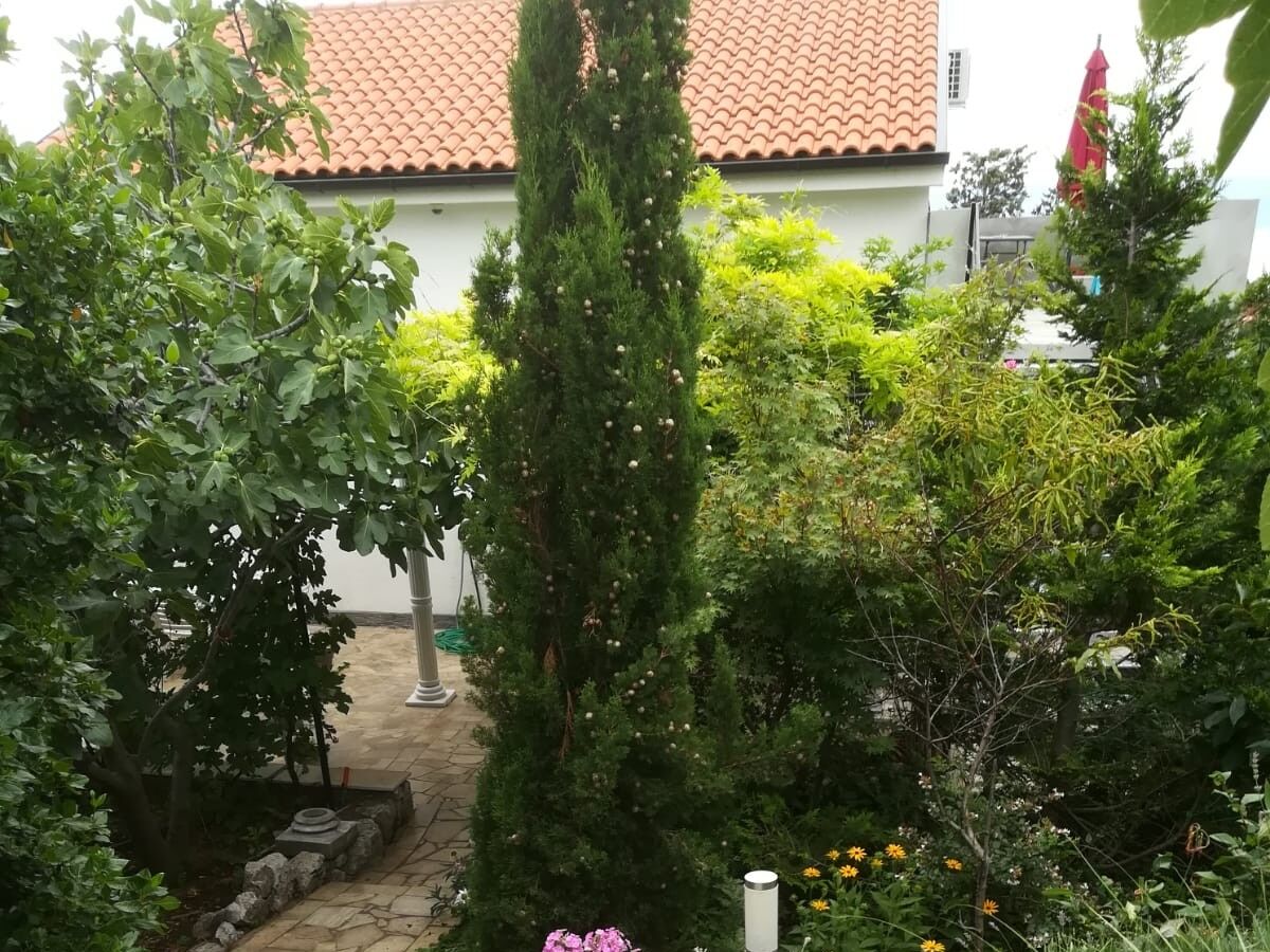 Apartment Novi Vinodolski 10