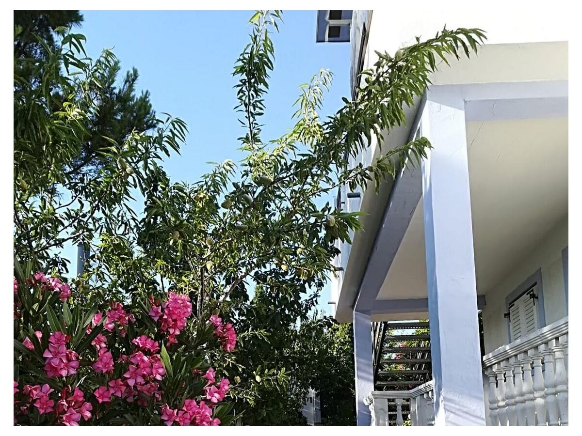Apartment Novi Vinodolski 11