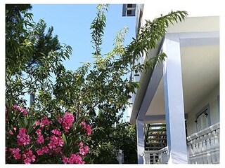 Apartment Novi Vinodolski  11